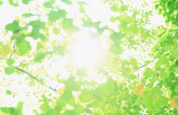 チャーター便や貸し切り便、配送の事ならST・companyにお任せ下さい！